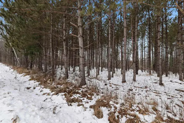10 acres LINWOOD DRIVE, Stevens Point, WI 54481