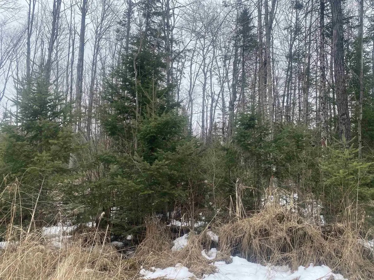 ON STATE HIGHWAY 64 #8430-2, Merrill, WI 54452 - #1