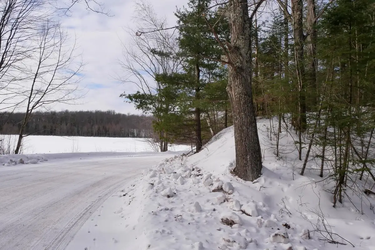 +/-.544 Acre SALEM LAKE ROAD, Medford, WI 54451 - #1