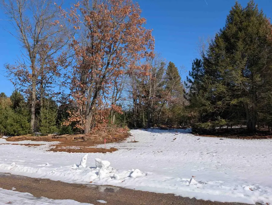3440 RAVENSWOOD WAY #Lot 96, Plover, WI 54467 - #2