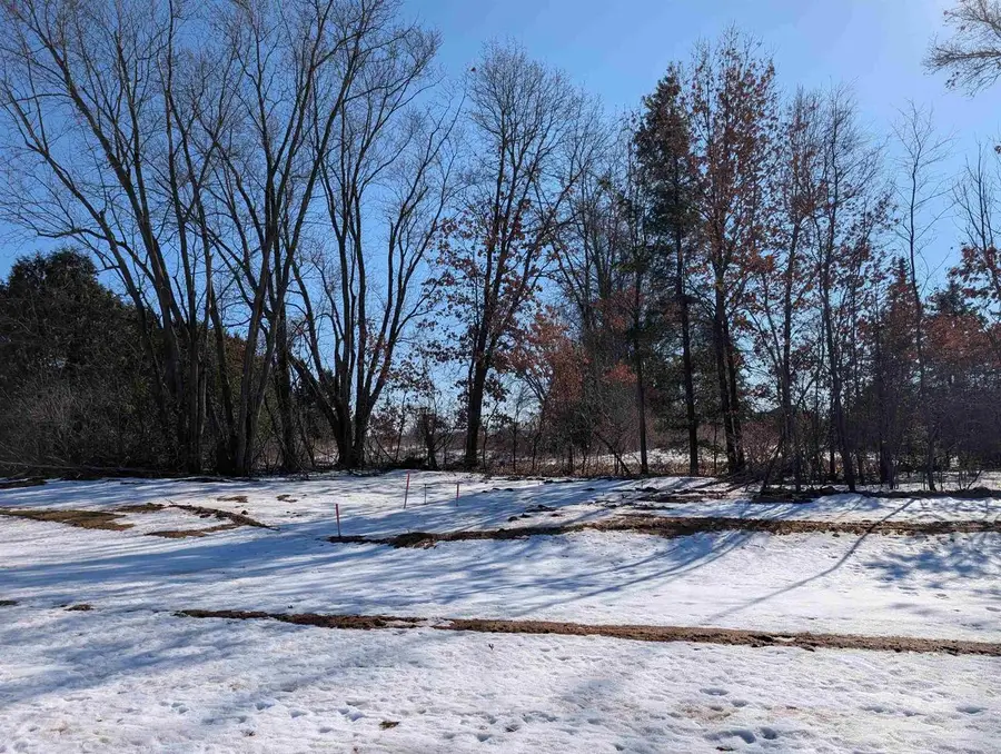 521 Amberwood Way #Lot 104, Plover, WI 54467 - #2