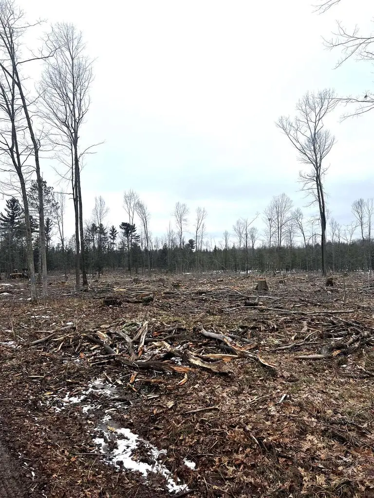 MOUNT VISTA ROAD, Mosinee, WI 54455 - #3