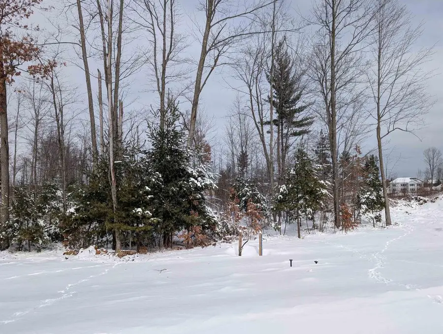 Lot 55 HERON HAVEN COURT, Biron, WI 54494 - #3