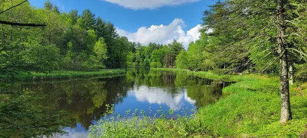 8 acres on SUGAR BUSH ROAD, Park Falls, WI 54552