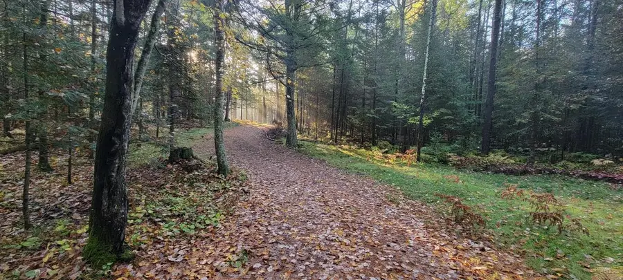 8 acres on SUGAR BUSH ROAD, Park Falls, WI 54552 - #3