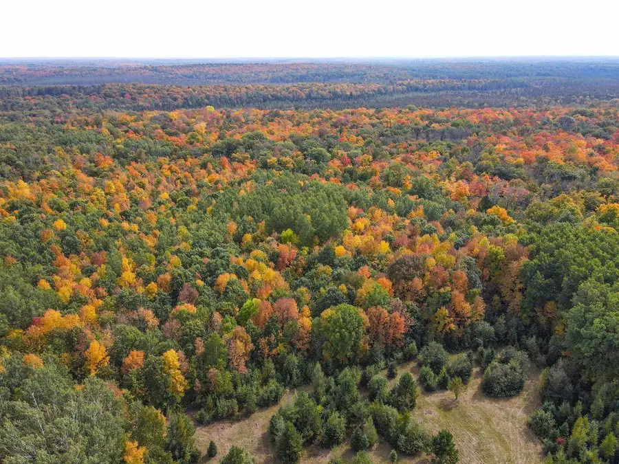 72281 HENNES ROAD, Glidden, WI 54527 - #3