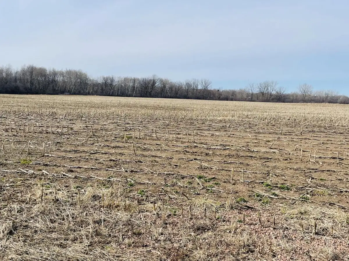 20 Acres N HUME AVENUE, Marshfield, WI 54449 - #1