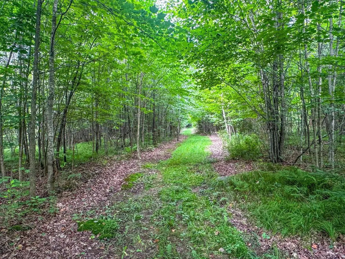 93.89A on KUNDINGER ROAD, Park Falls, WI 54552 - #1