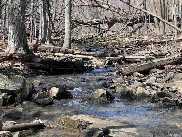 CANYON ROAD, Wausau, WI 54403