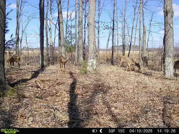 21 ACRES #Sand Hill Ln, LINWOOD, WI 54481