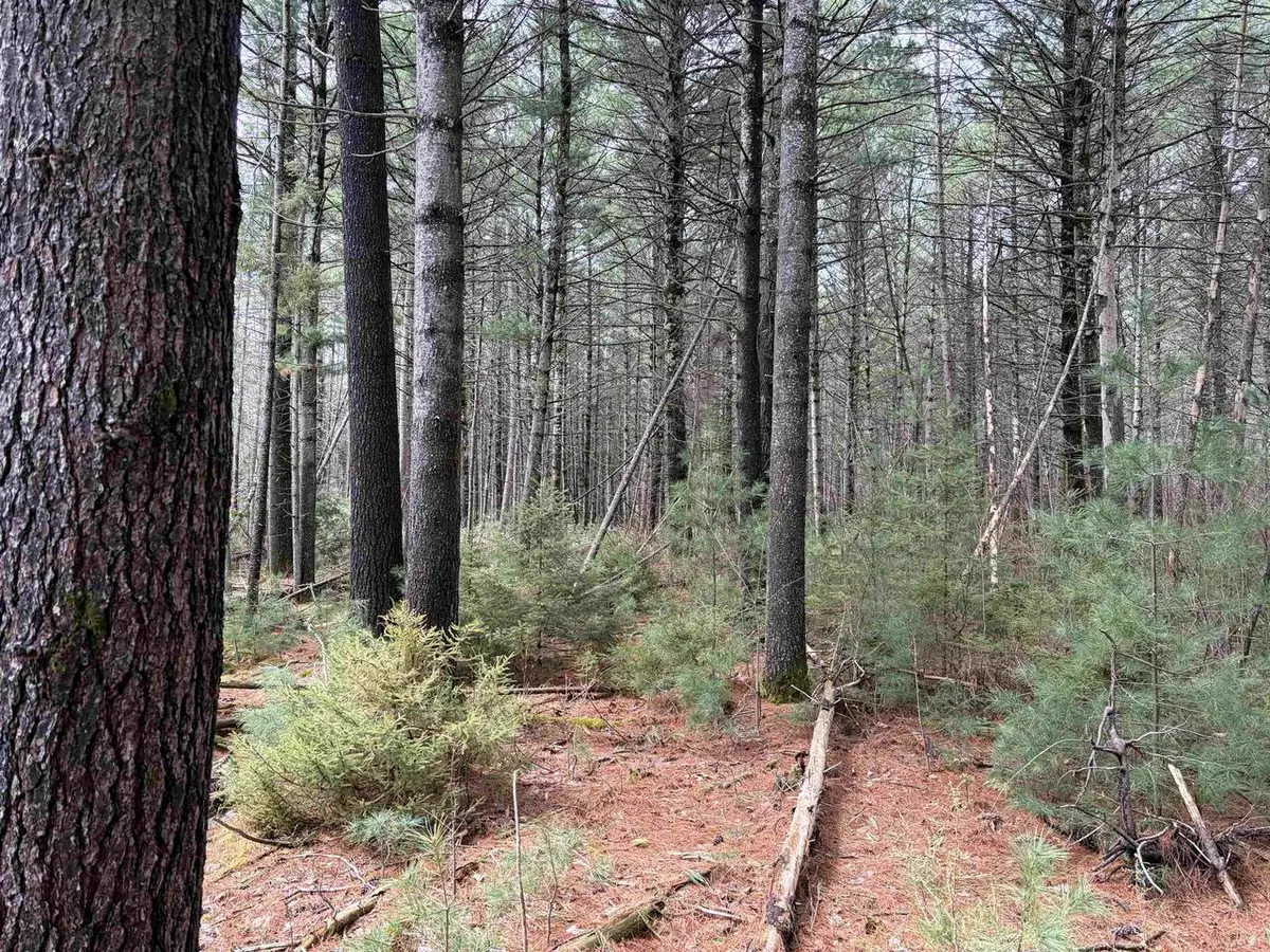 ON WHISPERING PINES DRIVE, Tomahawk, WI 54487 - #1