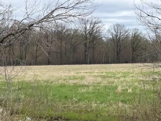 23 Acres STATE HIGHWAY 54, Wisconsin Rapids, WI 54495 - #3