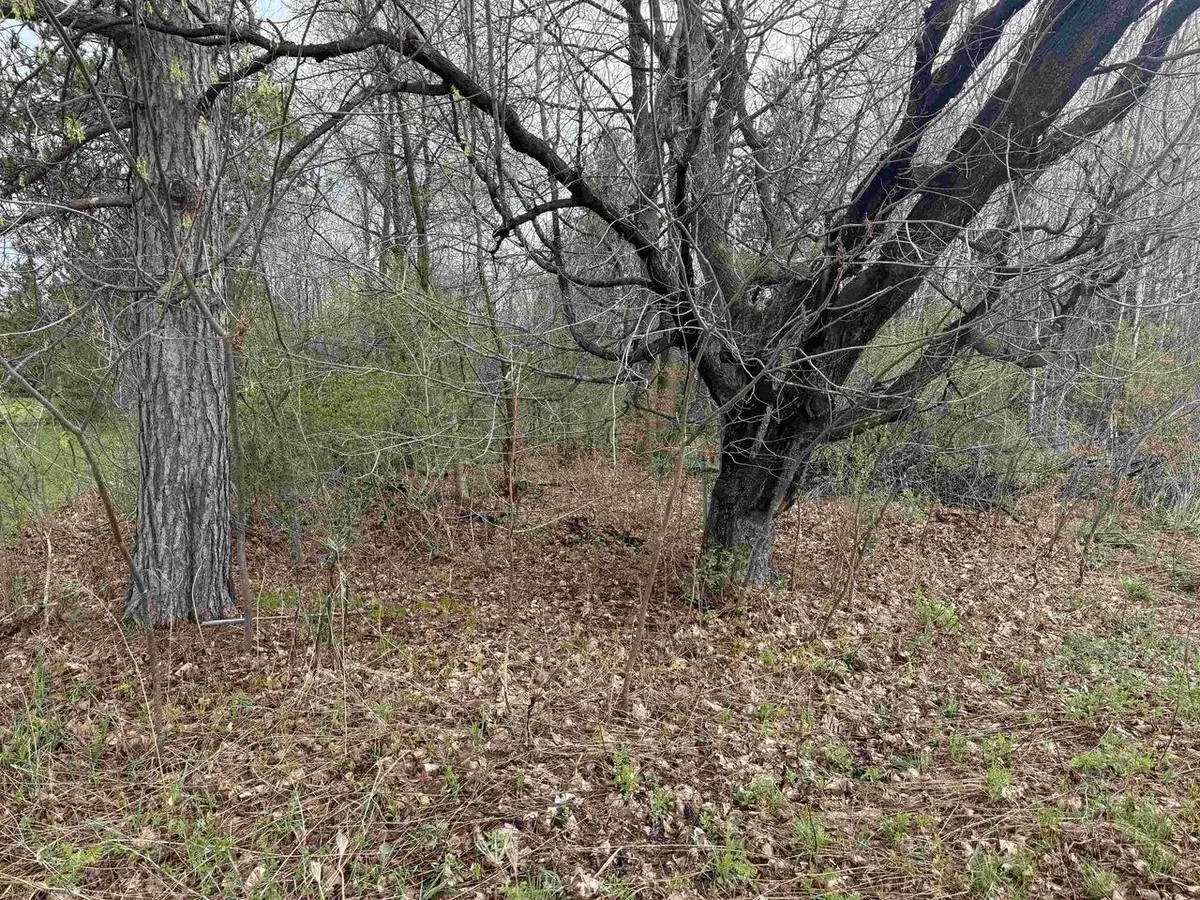 1 acre MOL MERRILL AVENUE, Wausau, WI 54401 - #1