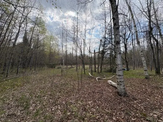 242681 TOBIAS ROAD, Aniwa, WI 54408 - #2