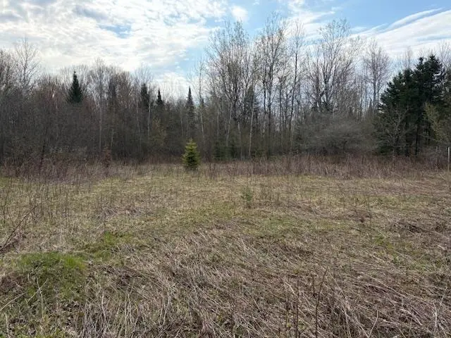 242681 TOBIAS ROAD, Aniwa, WI 54408 - #3