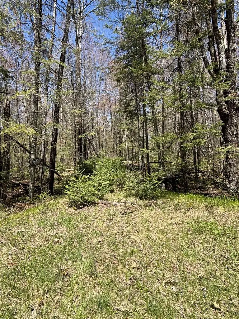 VASCHEAU ROAD, Merrill, WI 54452 - #1