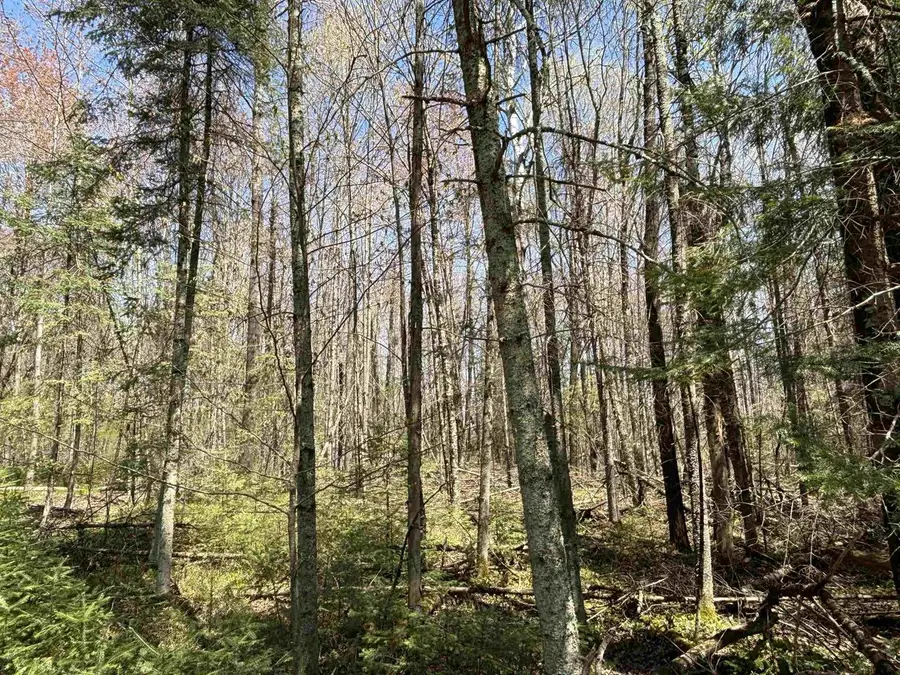 VASCHEAU ROAD, Merrill, WI 54452 - #2