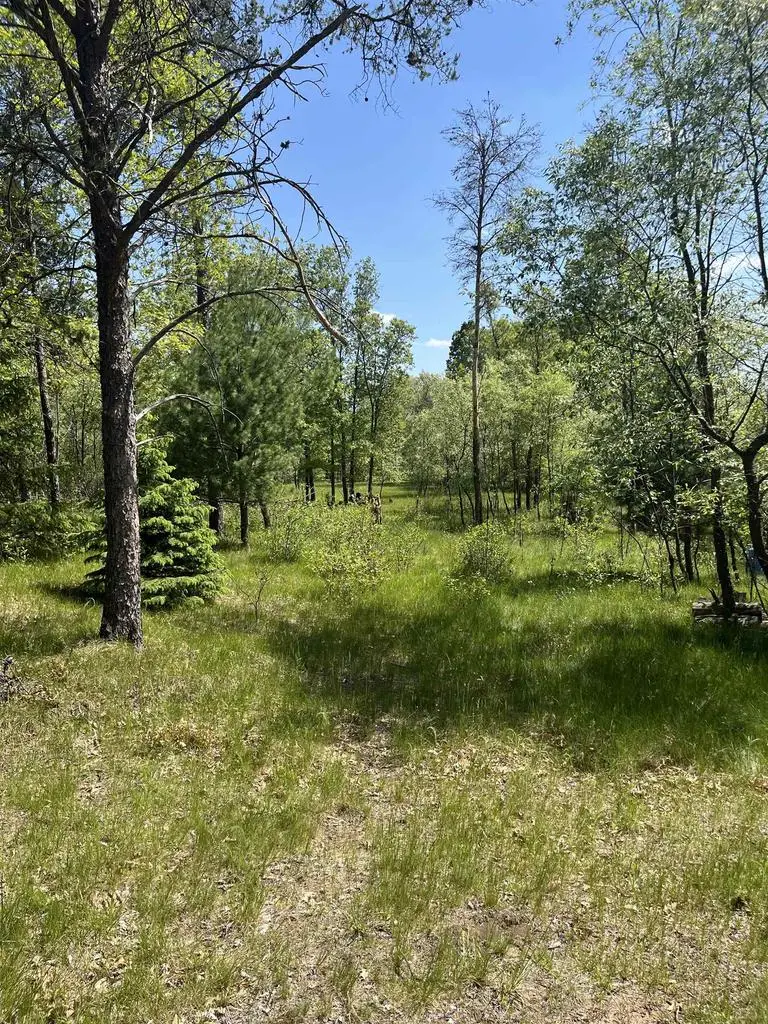 1047 N ARCHERS WAY, Nekoosa, WI 54457 - #1