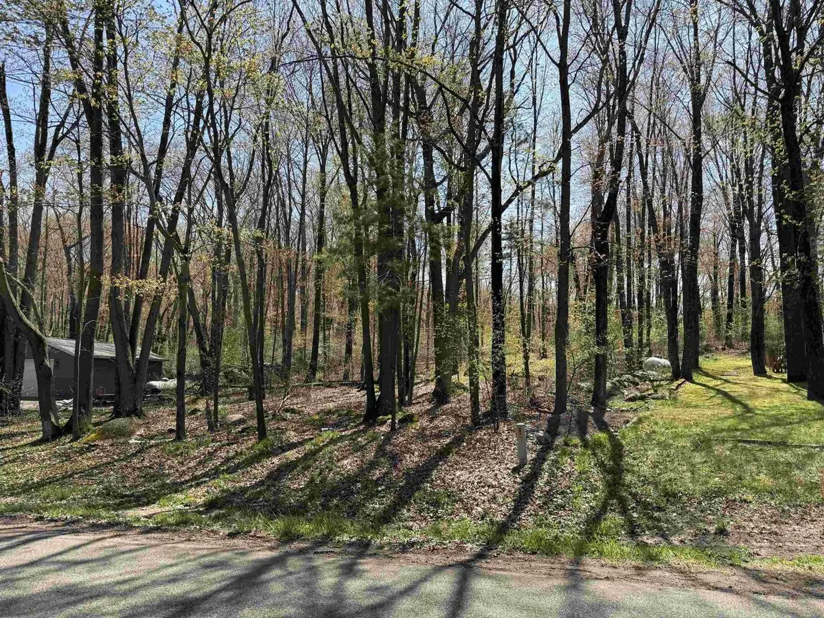 Lot 1 COUNTY ROAD G, Iola, WI 54945 - #1