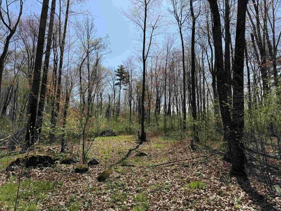 Lot 1 COUNTY ROAD G, Iola, WI 54945 - #2