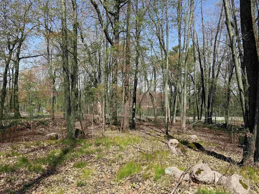 Lot 1 COUNTY ROAD G, Iola, WI 54945 - #3