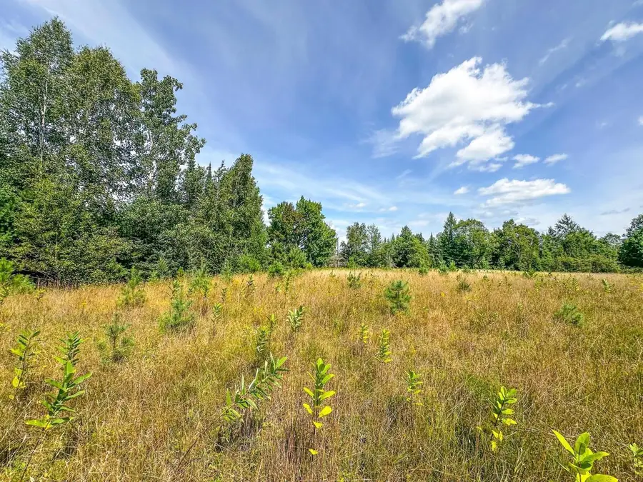 3 acres on DARLAKS BAY ROAD, Phillips, WI 54555 - #3