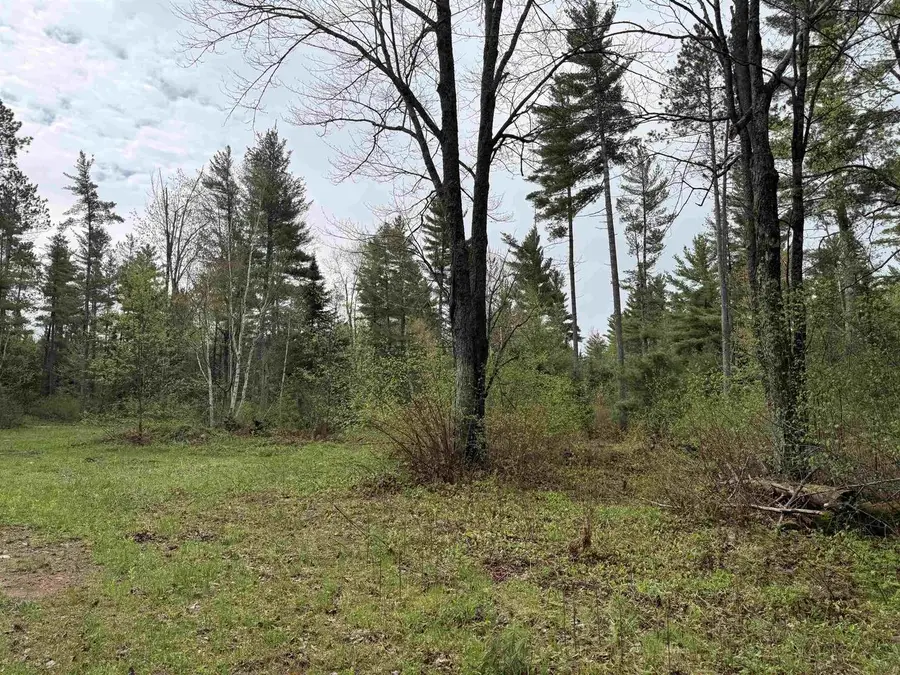 On BEARSKULL ROAD, Park Falls, WI 54552 - #3