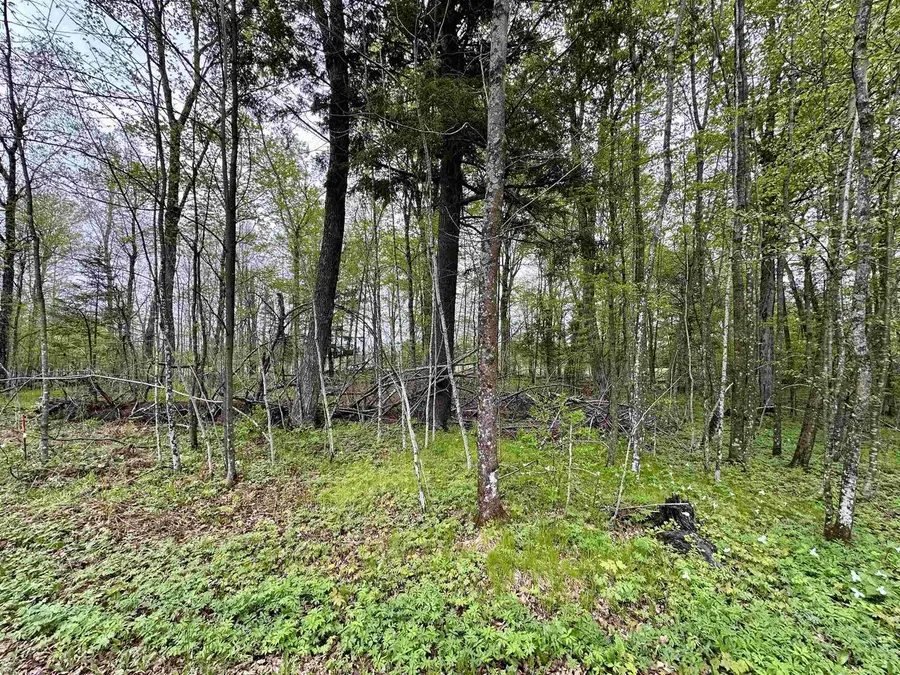 Lot 36 FAIRWAY DRIVE, Pickerel, WI 54465 - #3