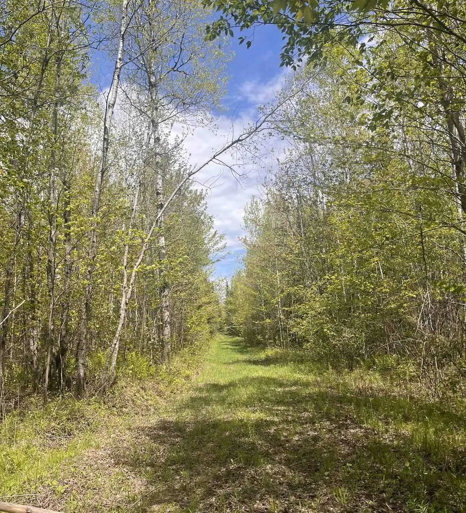 80 acres CLAUSEN ROAD, Prentice, WI 54556 - #1