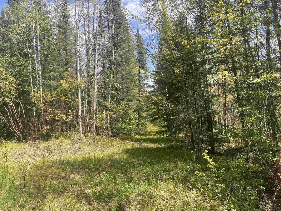 80 acres CLAUSEN ROAD, Prentice, WI 54556 - #3