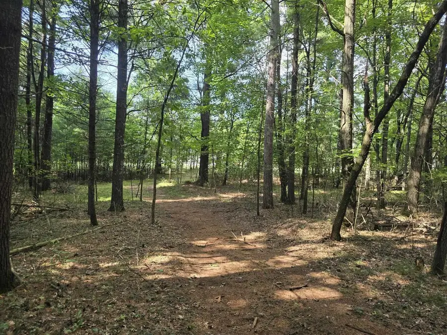 Lot 6 NATURES WAY, Wisconsin Rapids, WI 54494 - #2