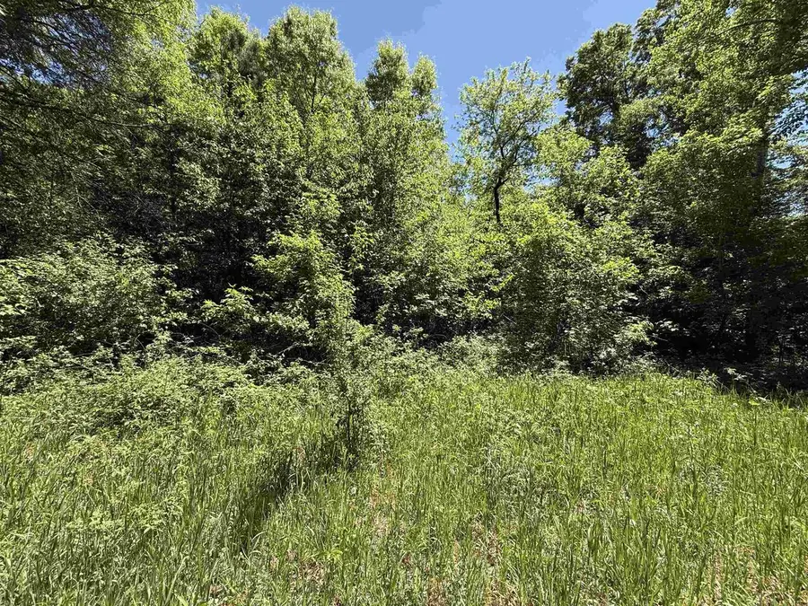 Lot 16 ARROWHEAD ROAD, Amherst Junction, WI 54407 - #2
