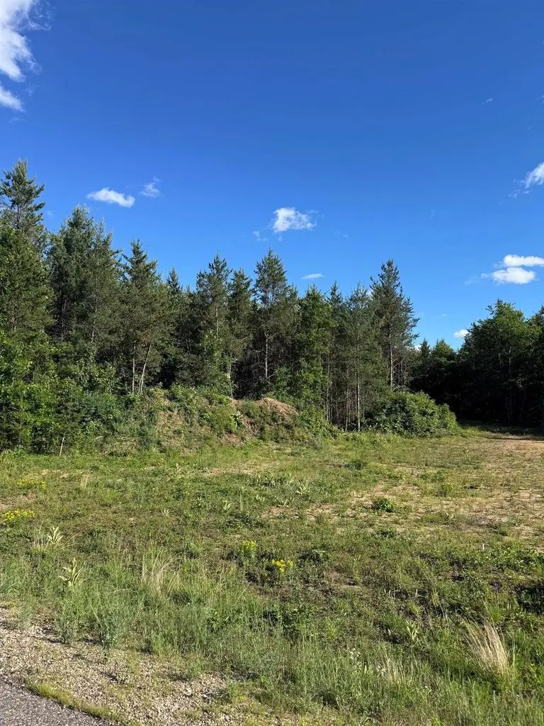 Lot 30 RED TAIL HAWK DRIVE, Stevens Point, WI 54482 - #3