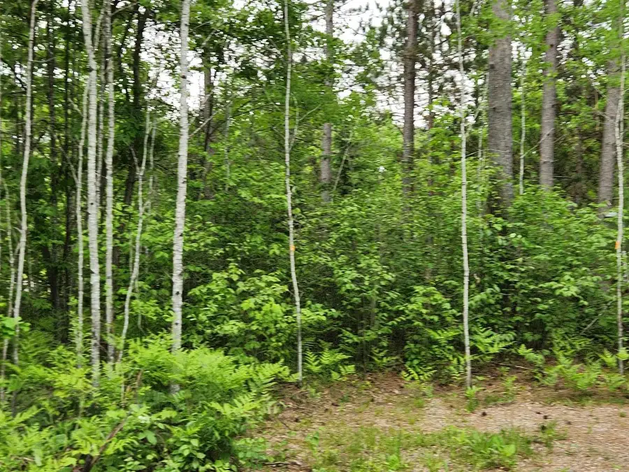 11339 BURROWS LAKE ROAD, Tomahawk, WI 54487 - #3