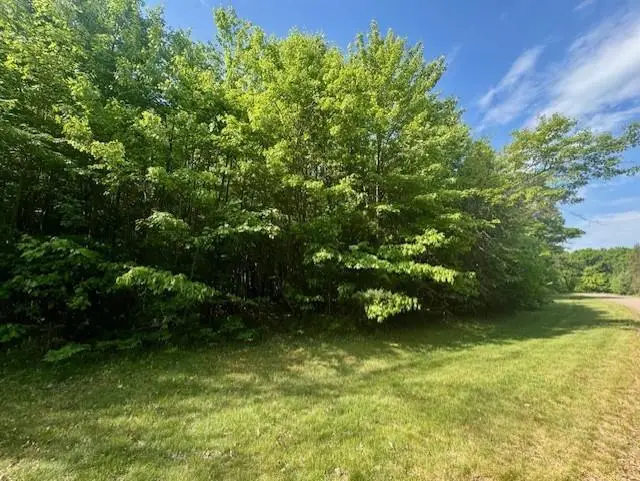 N8823 DICKERSON AVENUE, Willard, WI 54493 - #2