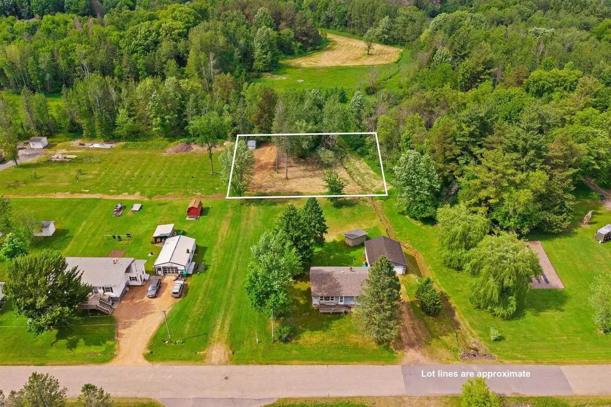 0.44 Acre Lot MAPLE STREET, Arpin, WI 54410 - #1