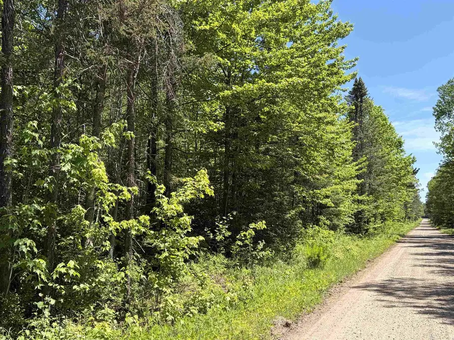 On WILSON SCHOOL ROAD, Tomahawk, WI 54487 - #2
