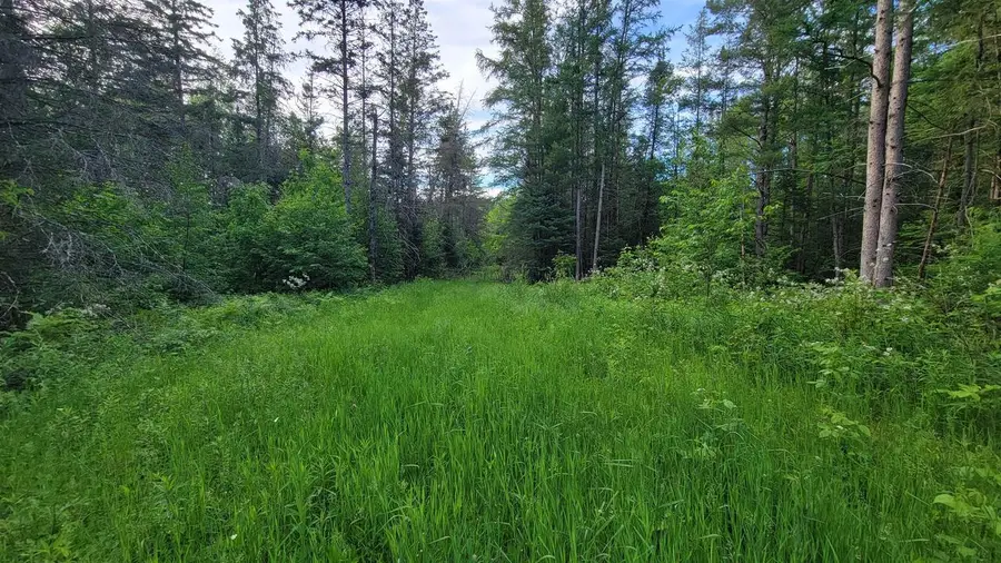 On BRADY LANE, Elcho, WI 54428 - #3