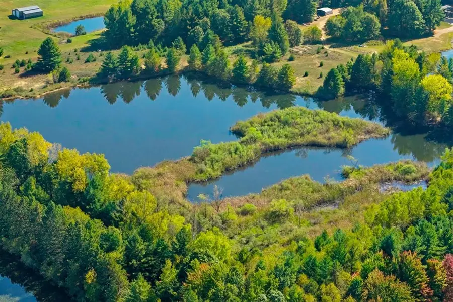 Lot 6 GOLDENROD LANE, Custer, WI 54423 - #2
