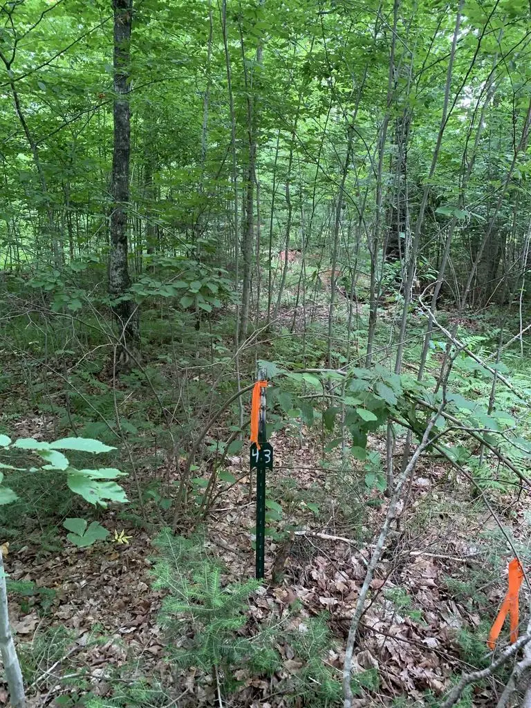 000 Summit Woods Lane, Gleason, WI 54435 - #3