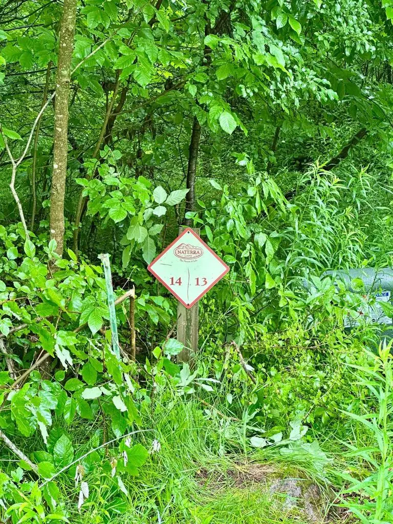 Lot 13 THORN APPLE DRIVE, Wittenberg, WI 54499 - #3