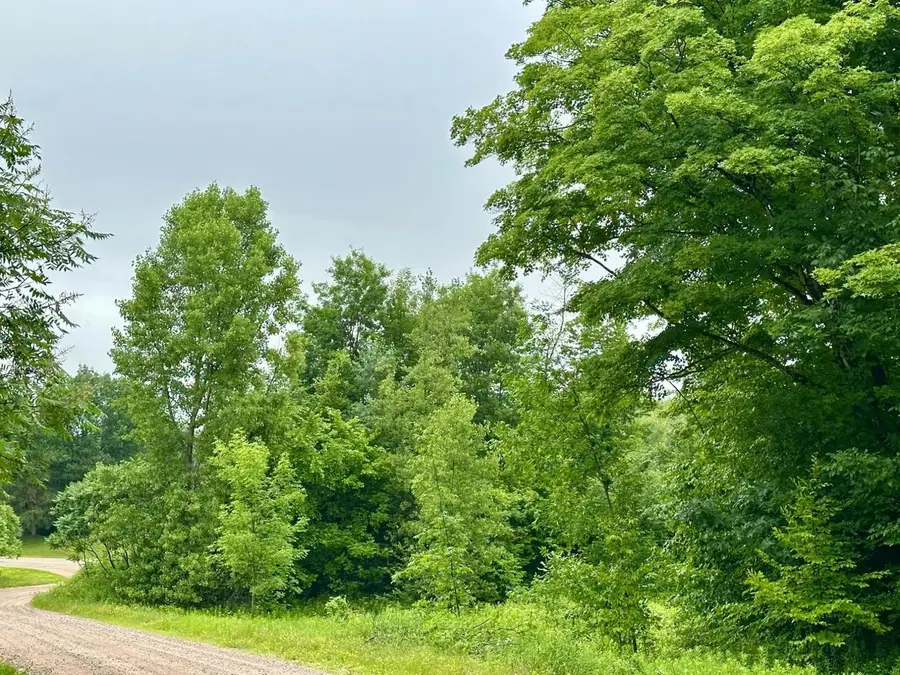 Lot 14 THORN APPLE DRIVE, Wittenberg, WI 54499 - #3