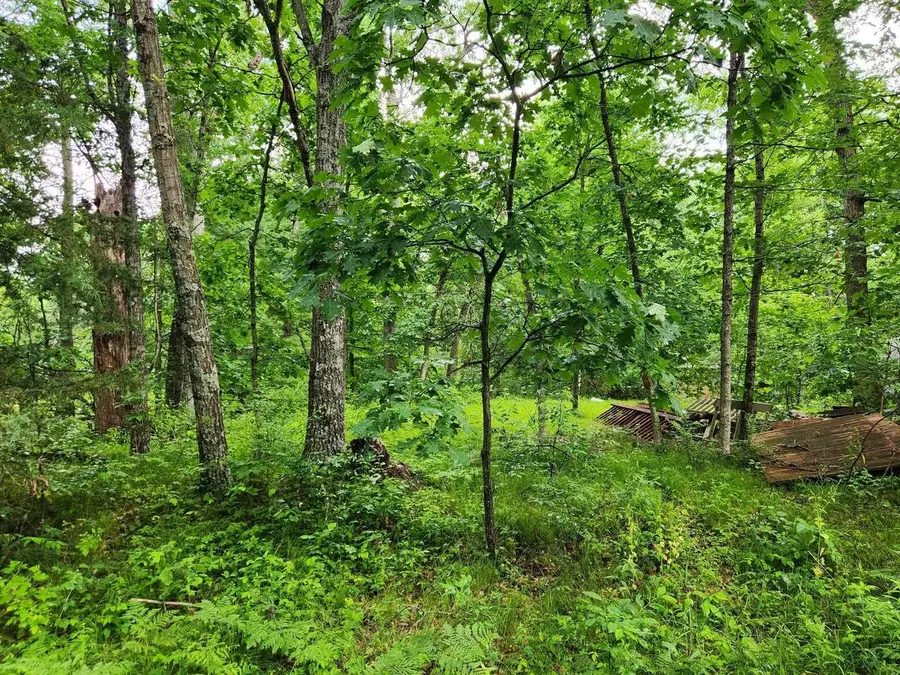 2984 5TH LANE, Grand Marsh, WI 53936 - #3