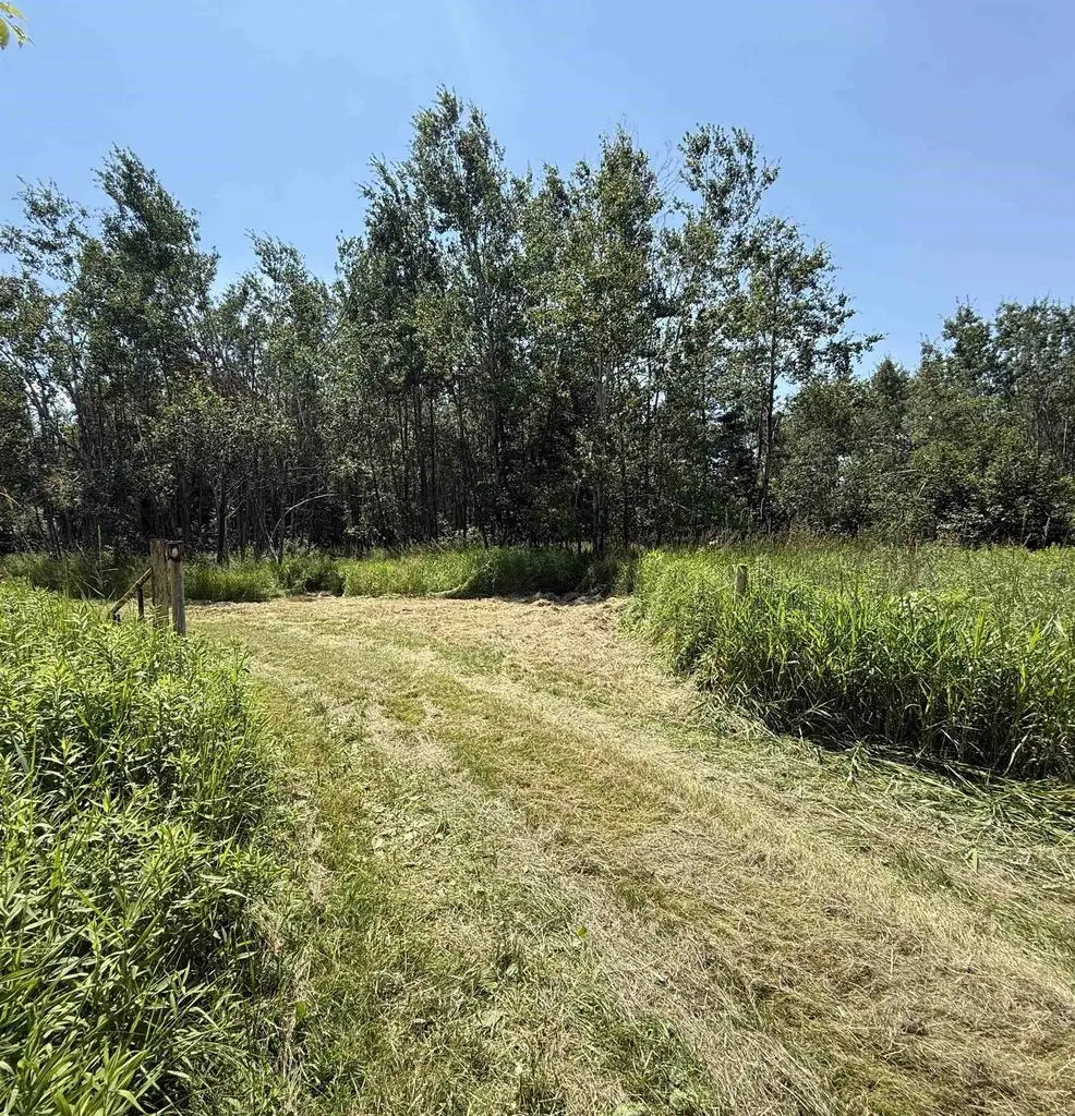 RED HICKORY ROAD, Eland, WI 54427 - #1