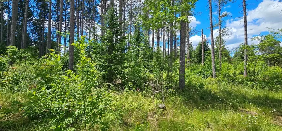 Lot 2 BAADE ROAD, Monico, WI 54501 - #3