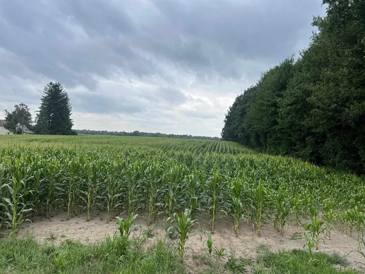 15 Acres DEER CREEK LANE, Marathon, WI 54448 - #1