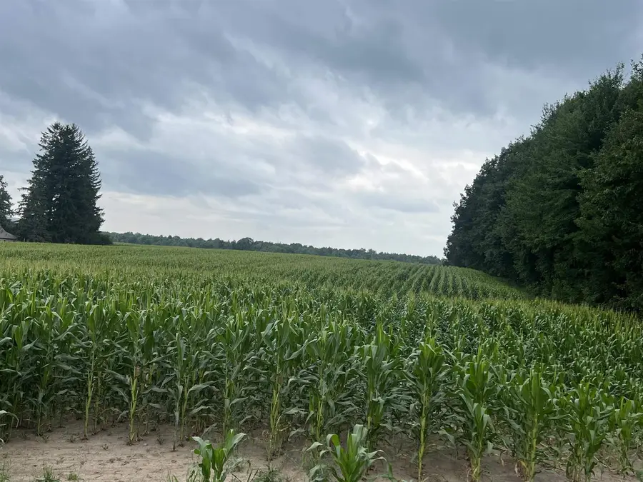15 Acres DEER CREEK LANE, Marathon, WI 54448 - #2