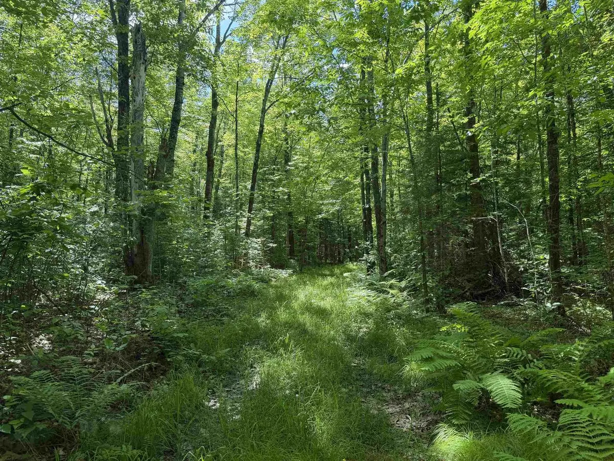WONDER ROAD, Hackett, WI 54555 - #1