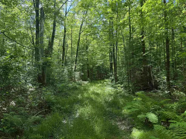 WONDER ROAD, Hackett, WI 54555