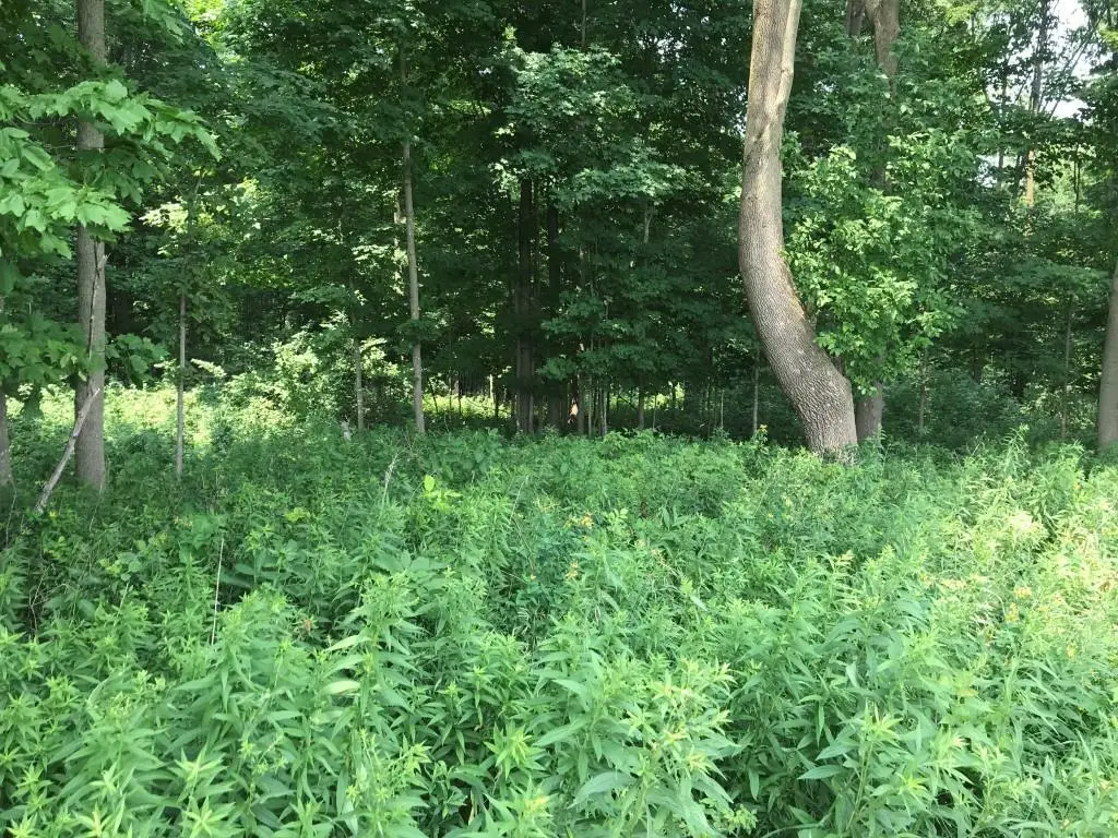 10 Acres LINCOLN DRIVE #139054, Athens, WI 54411 - #1